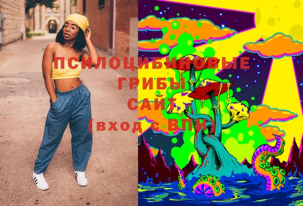 ГАЛЛЮЦИНОГЕННЫЕ ГРИБЫ Бугульма