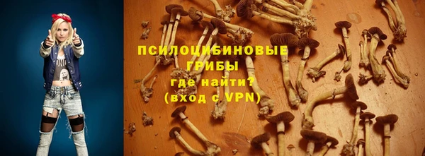 ГАЛЛЮЦИНОГЕННЫЕ ГРИБЫ Бугульма